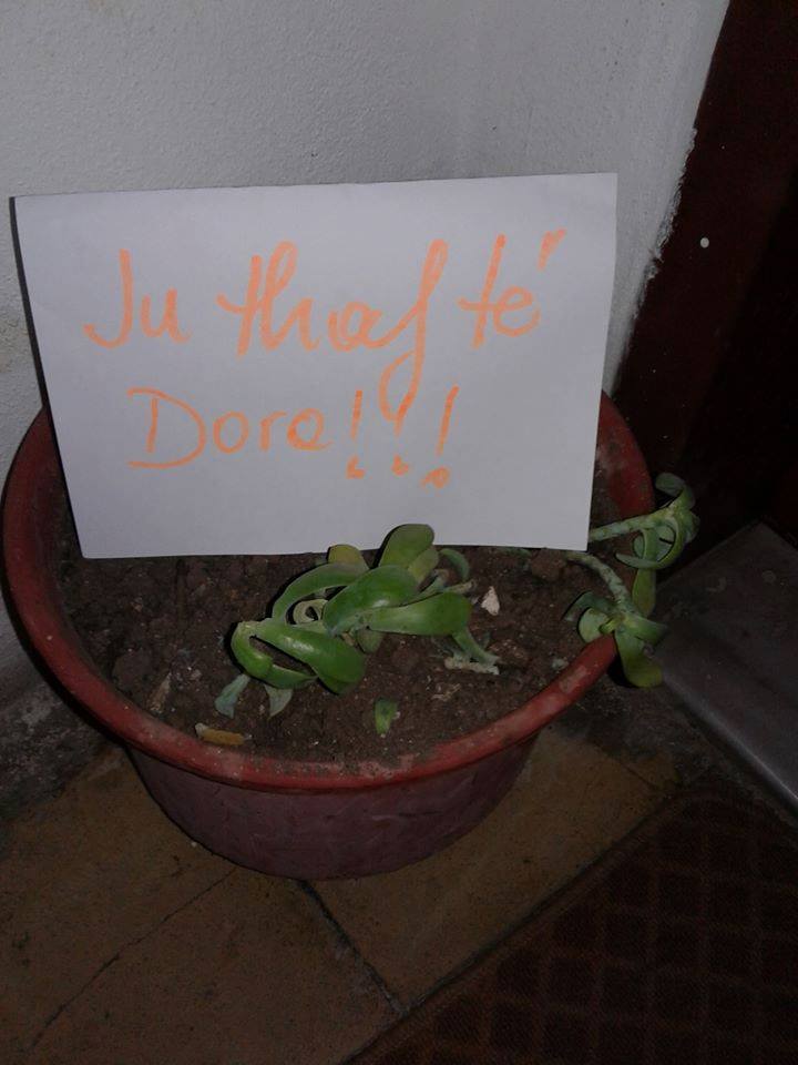 Autori të varet prej gjuhe në mes të fshatit