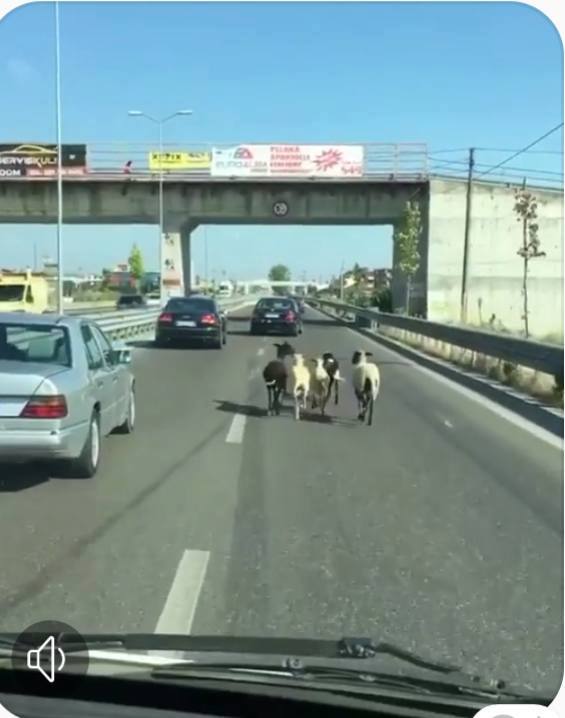 Shteti forcohet me gjëra të vogla.
