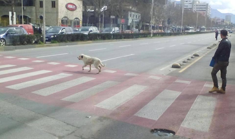 Shteti që premtuam, u bë.