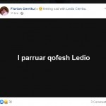 ledio cerriku3