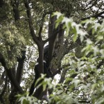 4722840_Agenzia_Fotogramma_FGR2837054