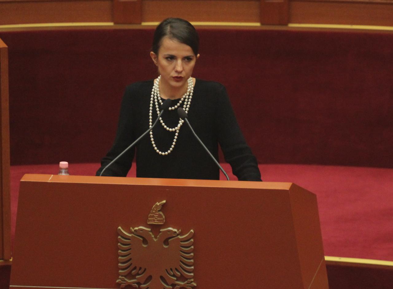 hajdari rudina