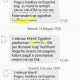 SMS-Brace11