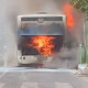 Autobusi merr flake