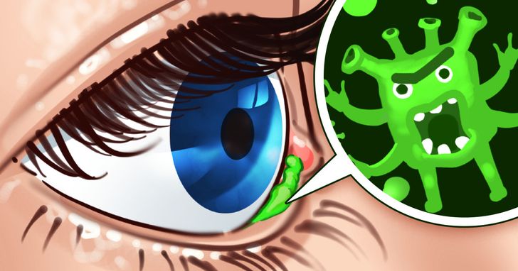 sklepa (4)