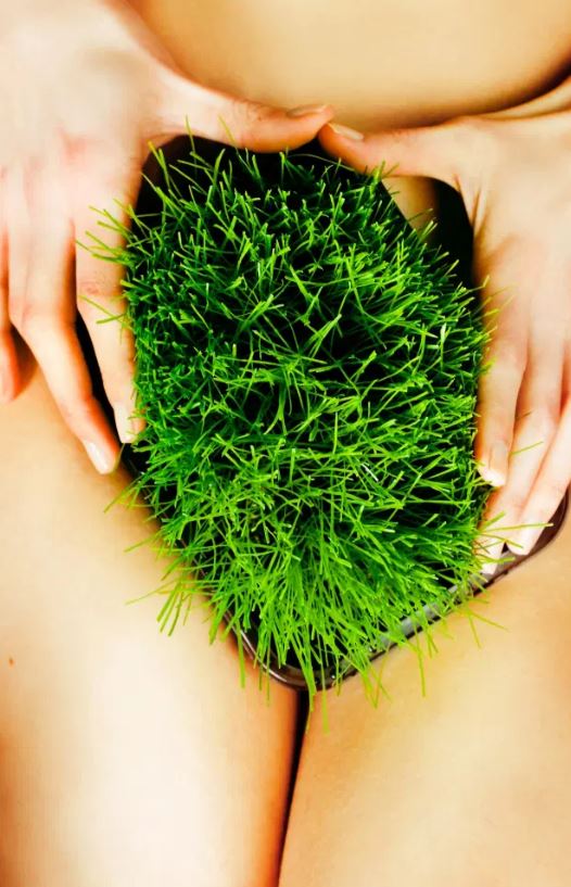 vagina dhe mitet për të (6)