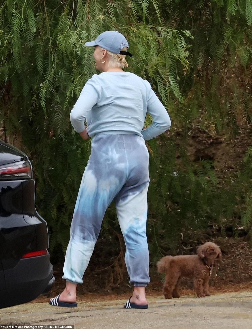 katy perry (12)