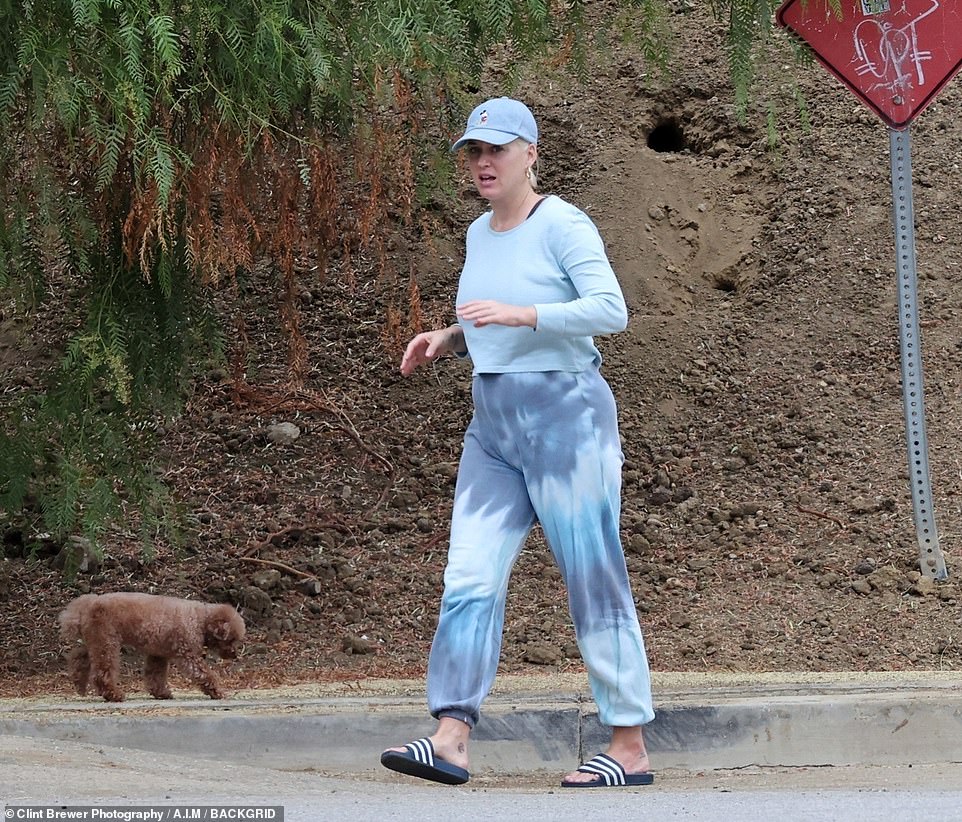 katy perry (13)