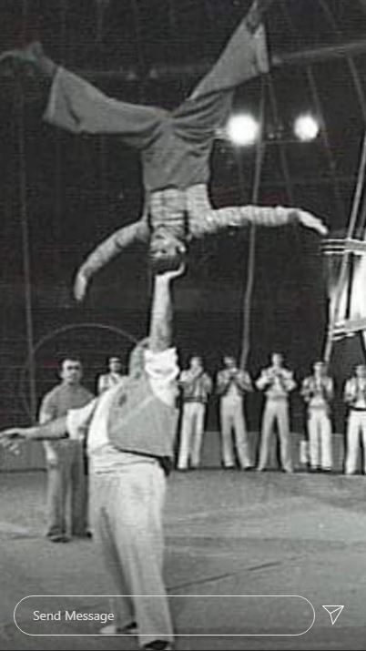 sara hoxha (5)