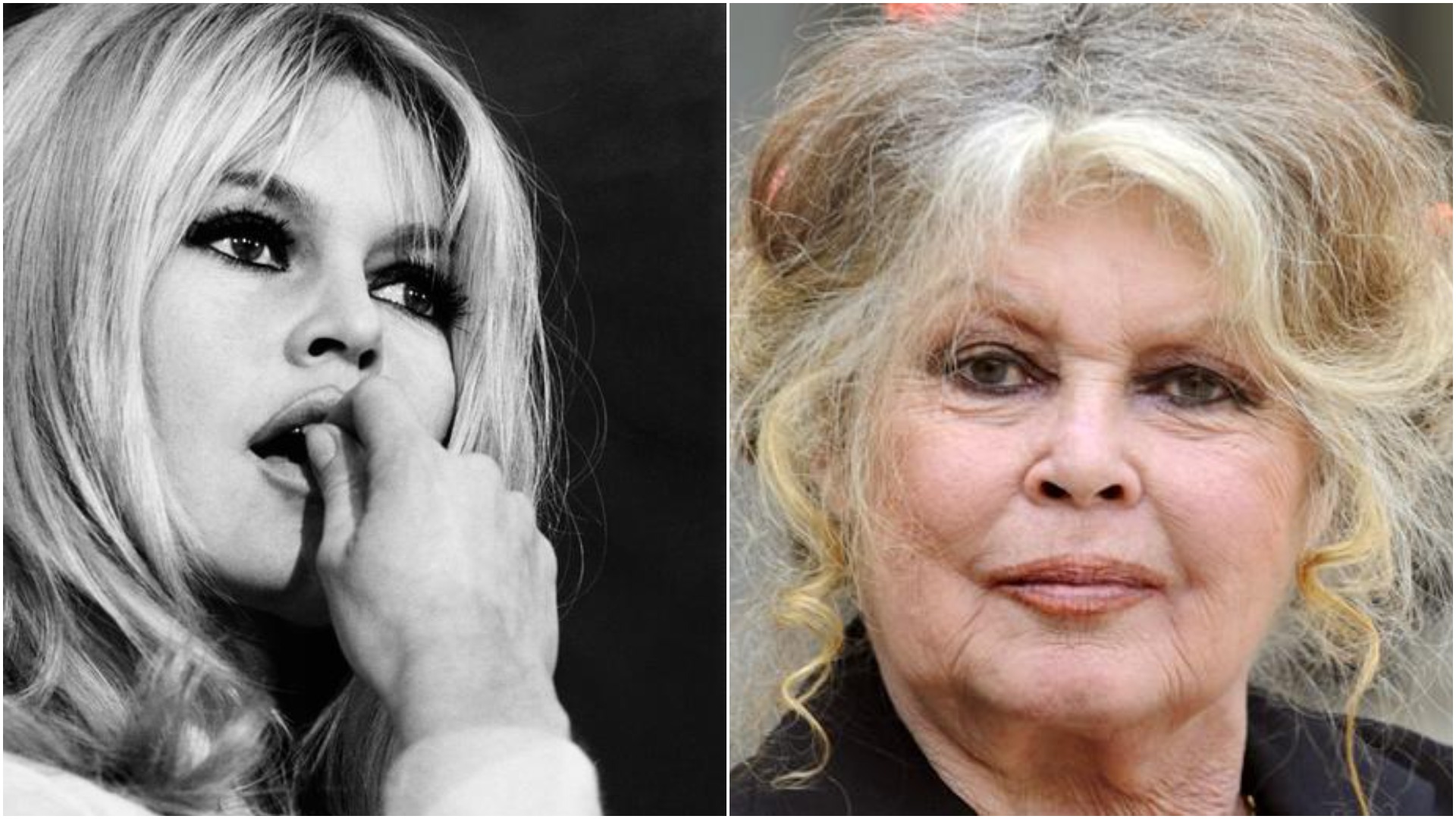 brigitte bardot (4)