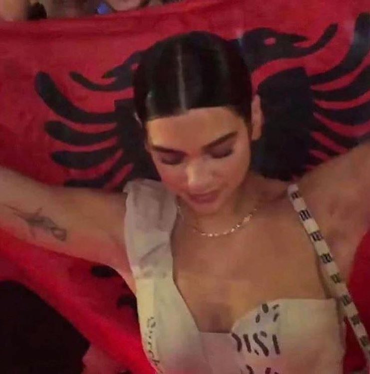 dua lipa (6)
