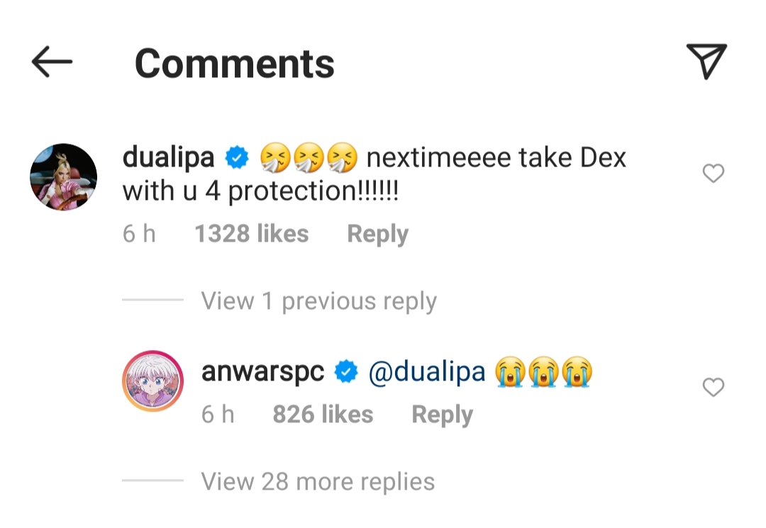 dua lipa anwar hadid (5)