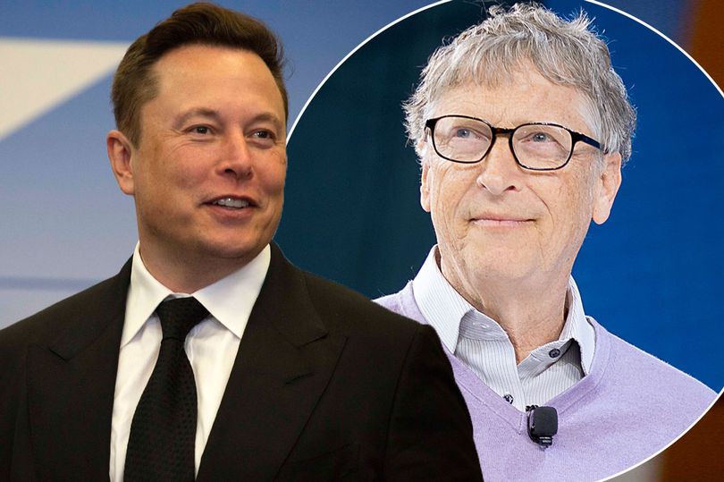 elon musk (2)