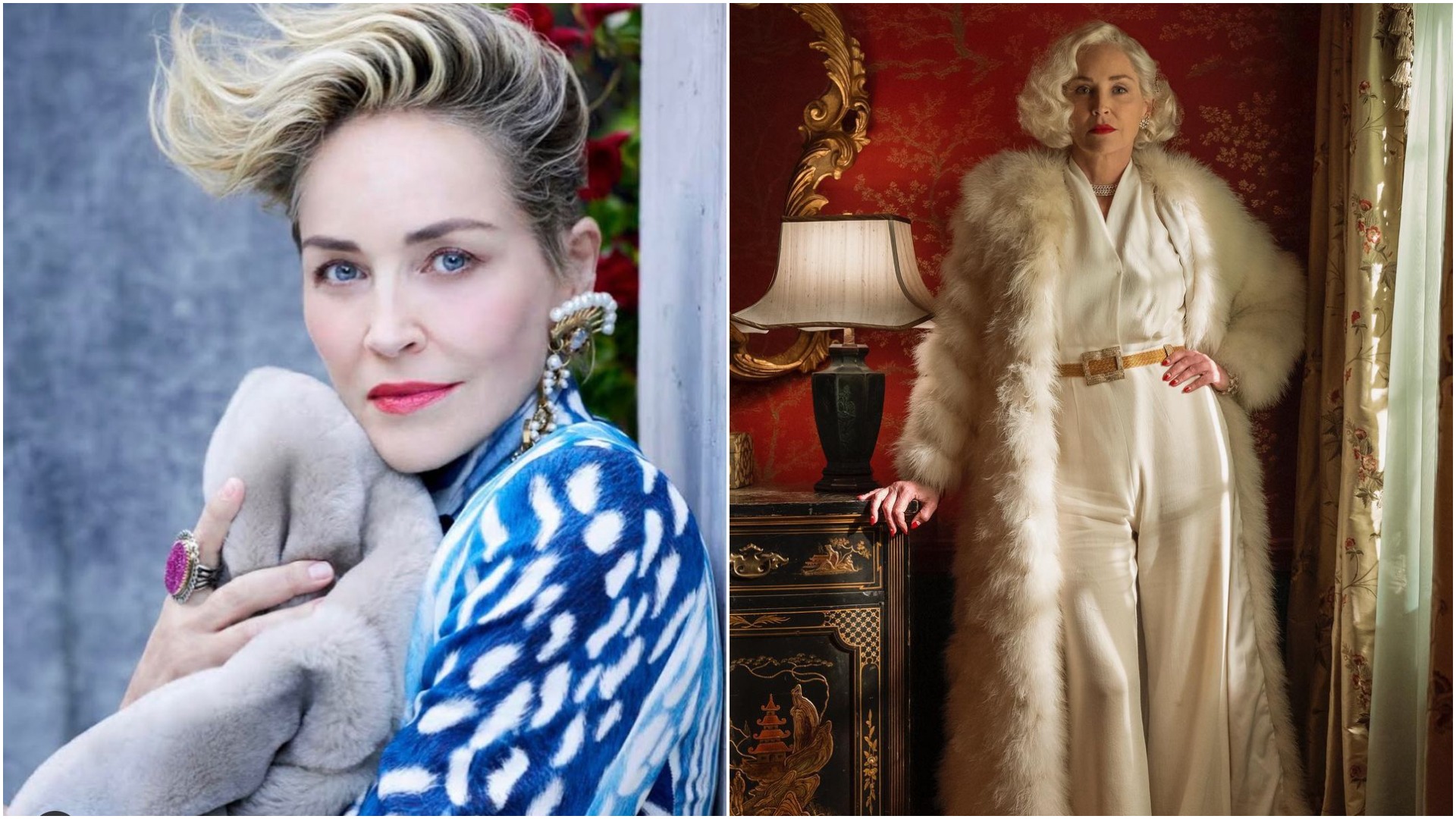 sharon stone (1)