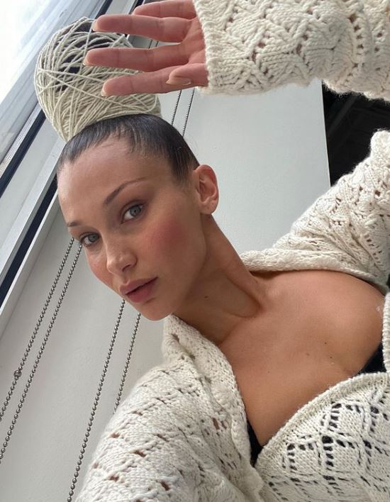 bella hadid (7)