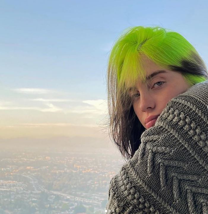 billie eilish (2)