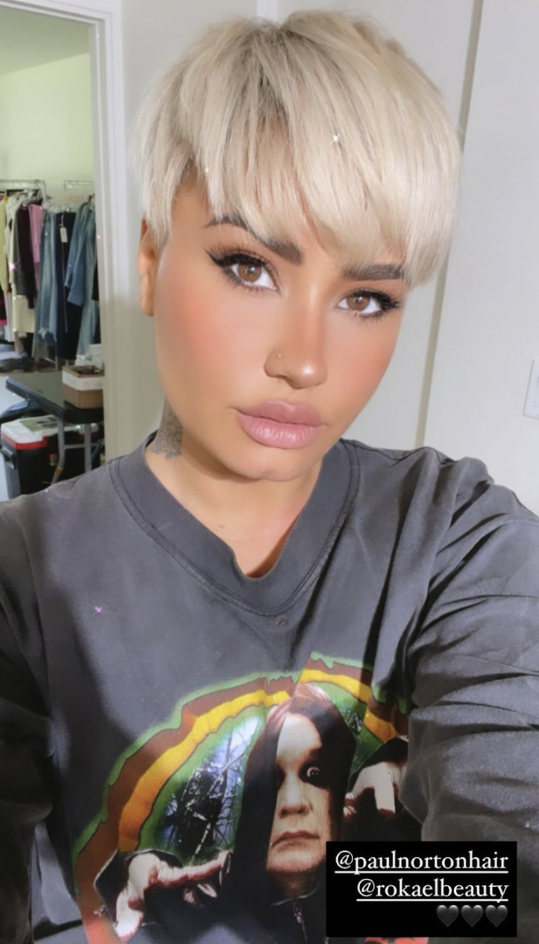 demi lovato (2)