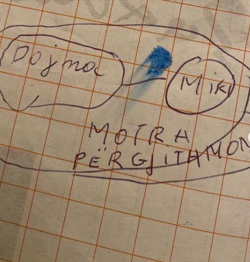dojna mema (10)