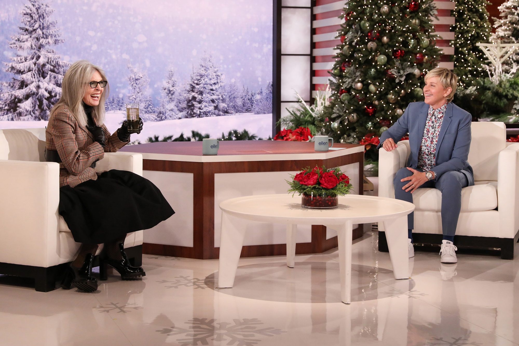 ellen degeneres (6)