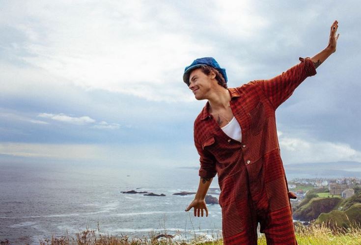 harry styles (7)