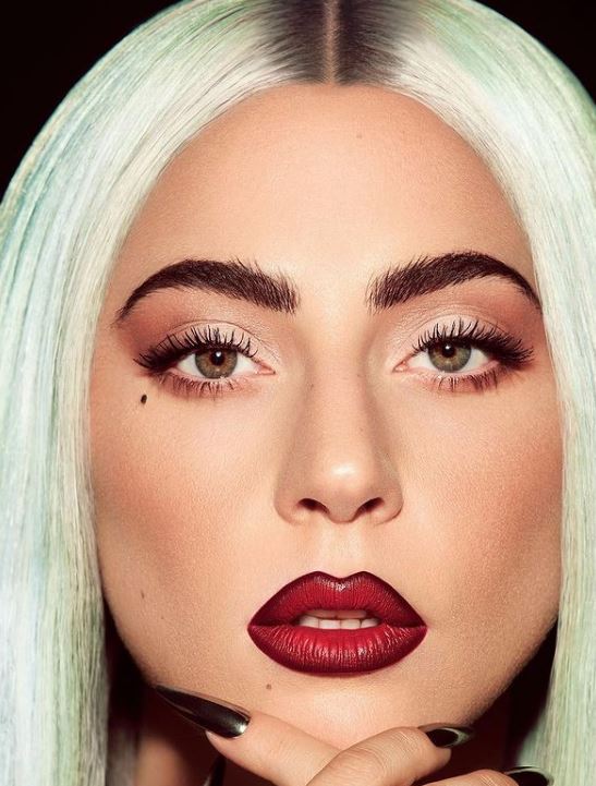lady gaga (5)
