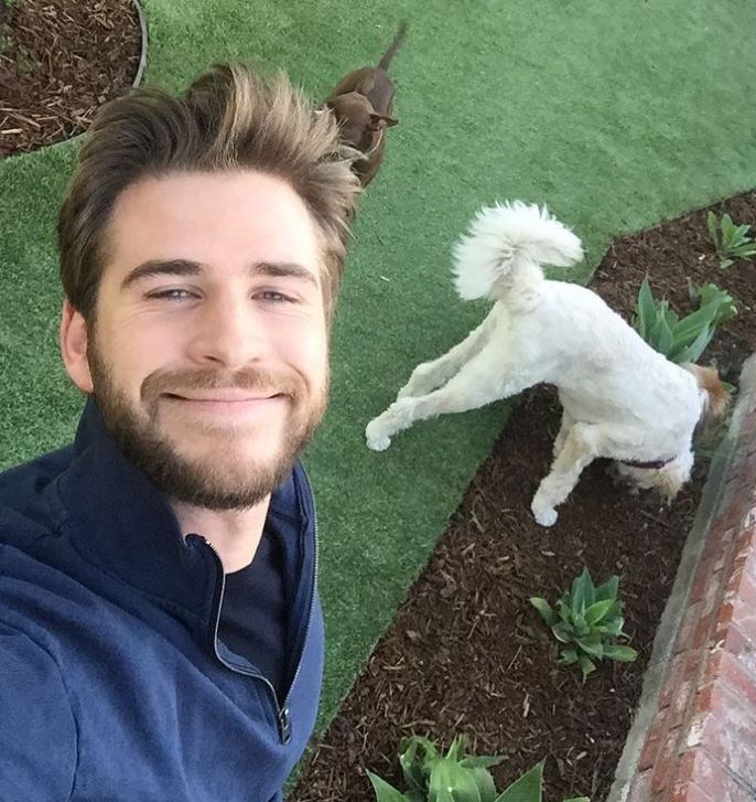 milye cyrus liam hemsworth (2)