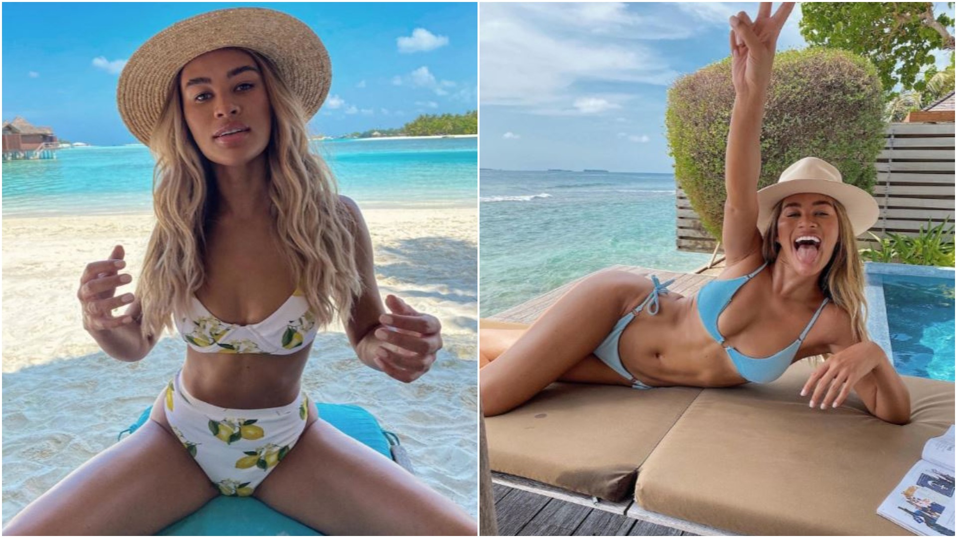 montana brown (2)