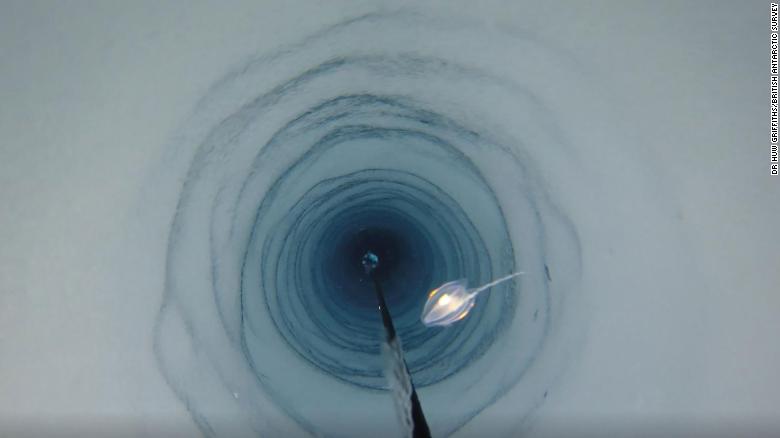 210215102109-03-creatures-found-under-ice-shelf-exlarge-169