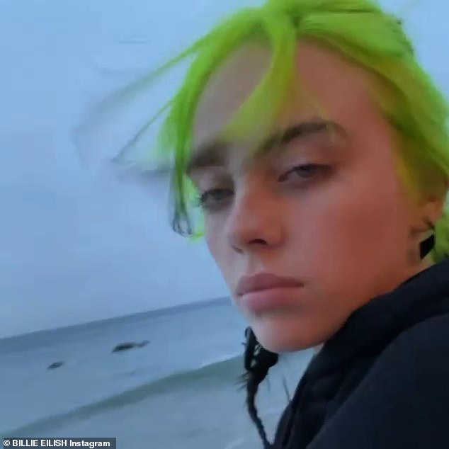 billie eilish (2)