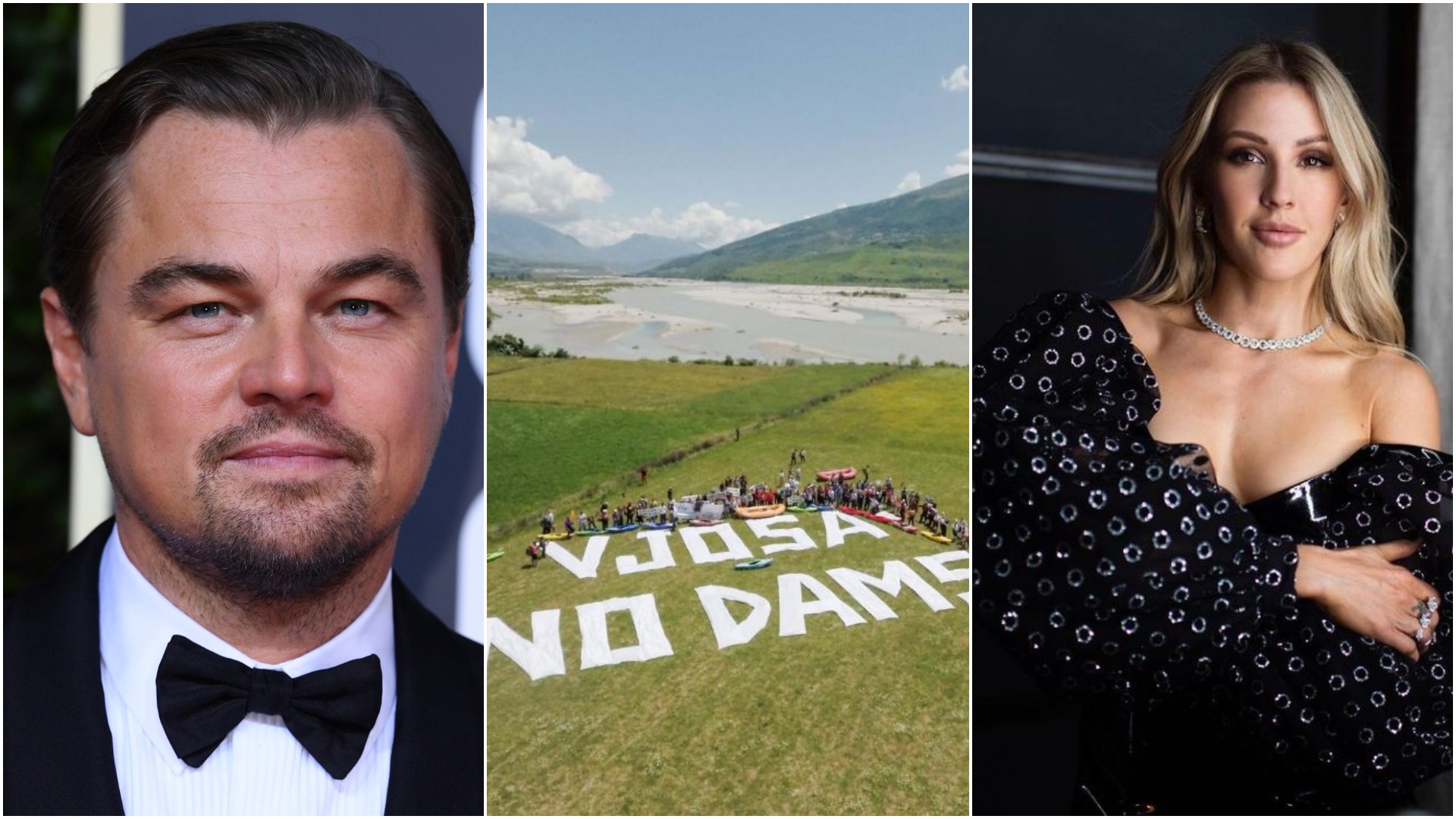 ellie goulding leonardo dicaprio vjosa (4)