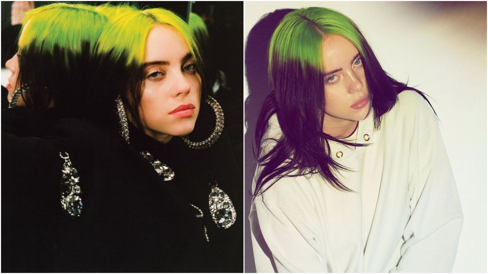 billie eilish (6)