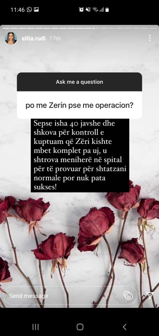 elita rudi (6)