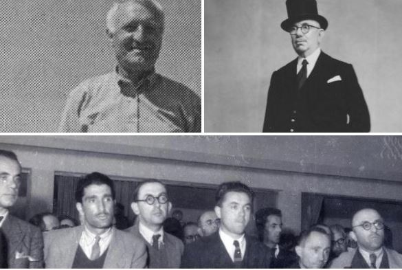 familja alizoti