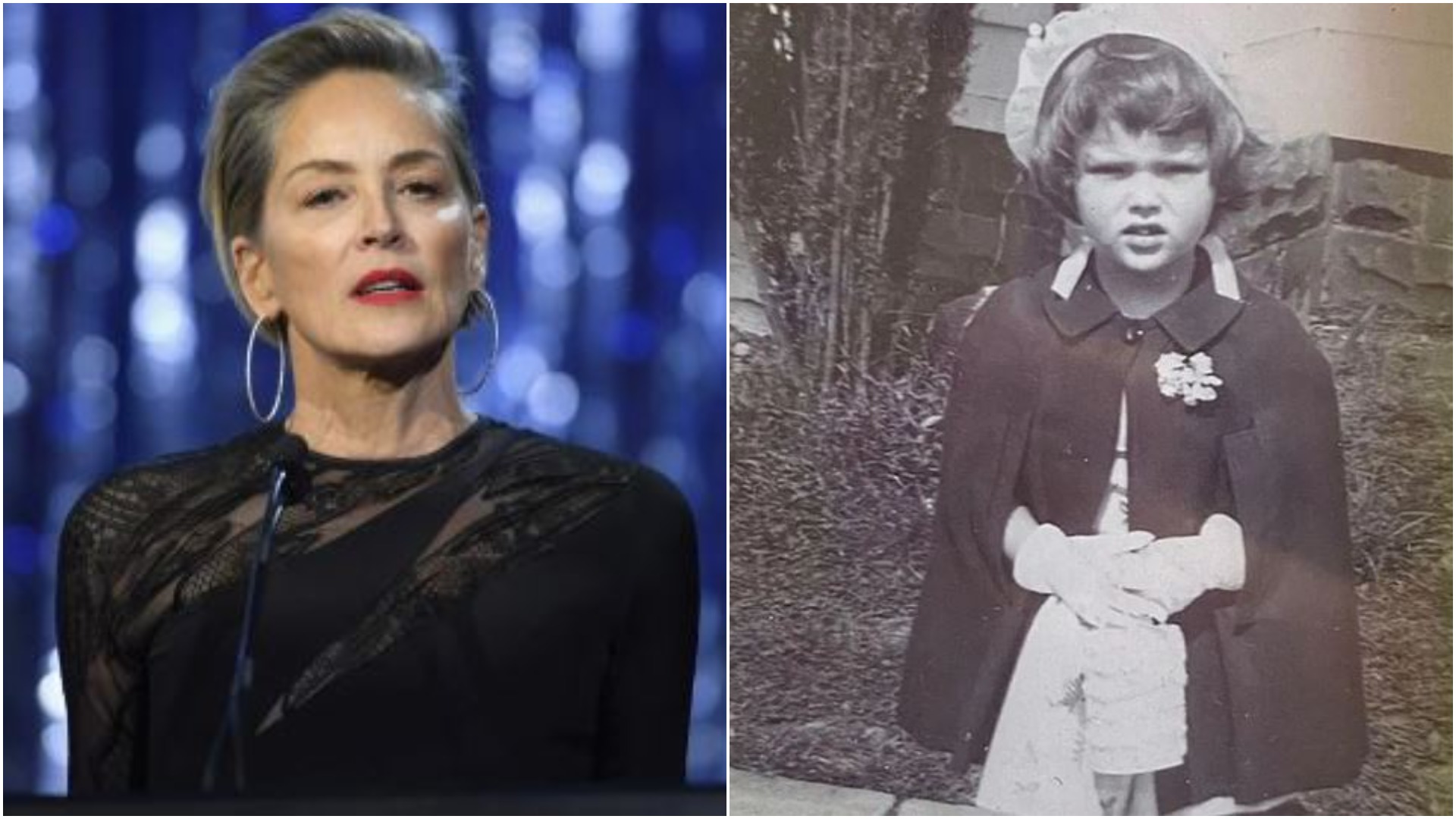 sharon stone1