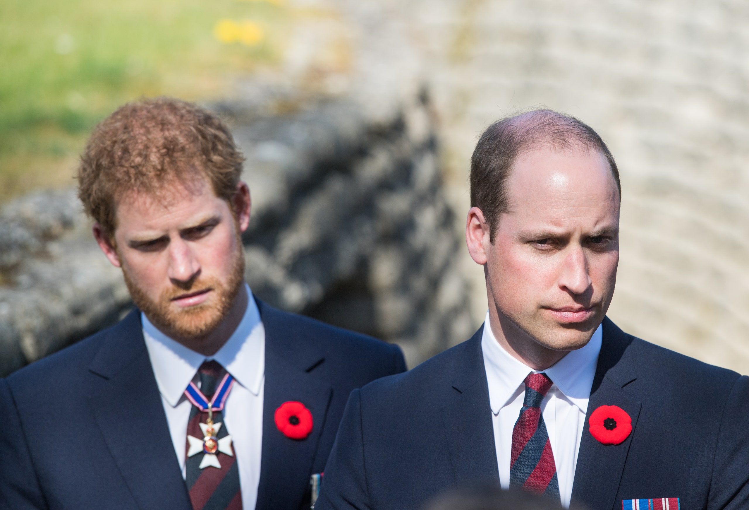princi william dhe harry (1)