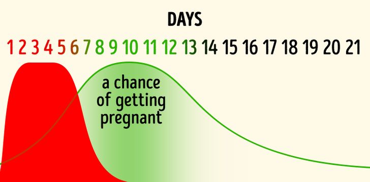 cikli menstrual (4)