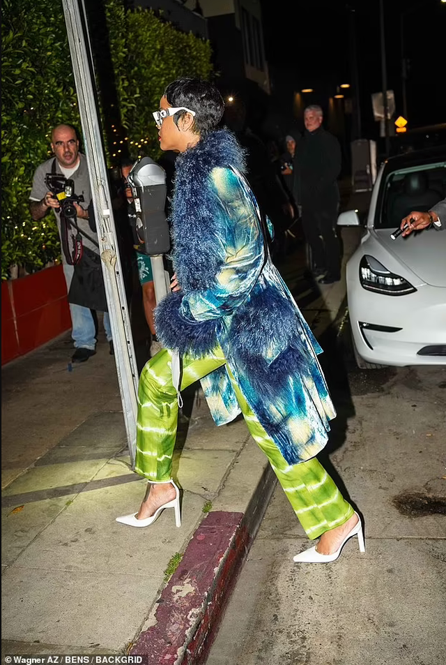 rihanna (2)