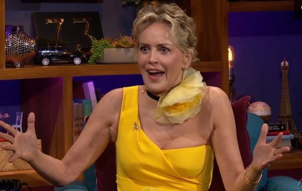 sharon stone (3)
