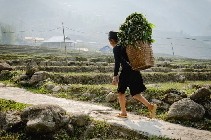 vietnam (11)