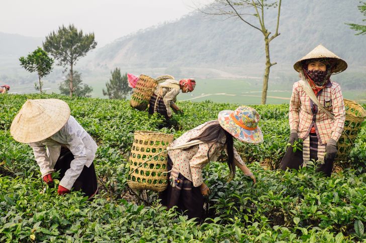 vietnam (14)