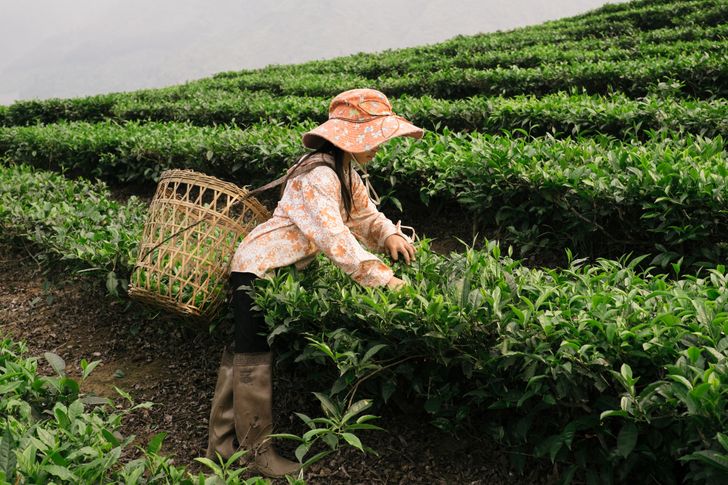 vietnam (19)