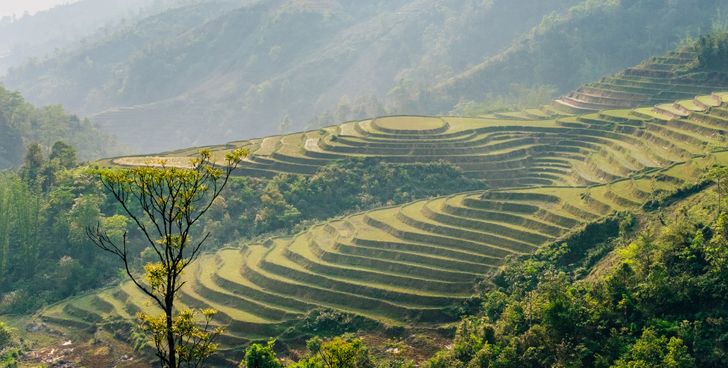 vietnam (22)