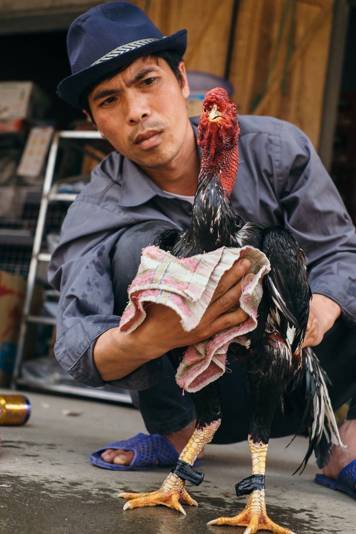 vietnam (7)