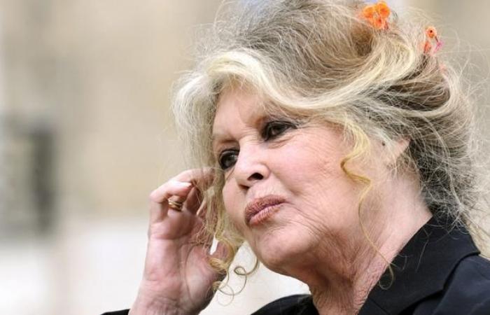 brigitte bardot