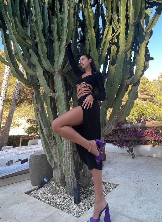 dua lipa (3)
