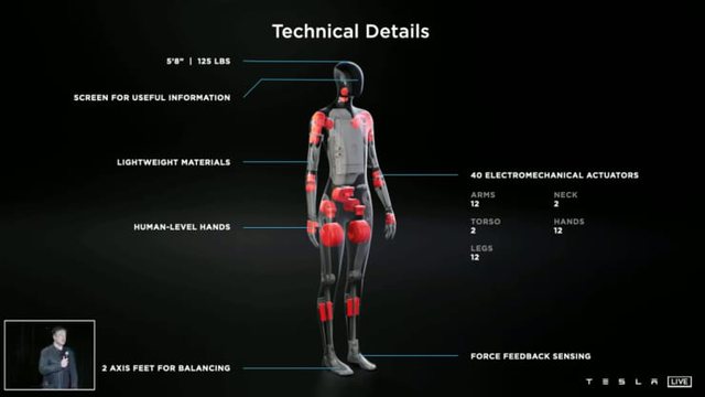 elon musk robot (2)