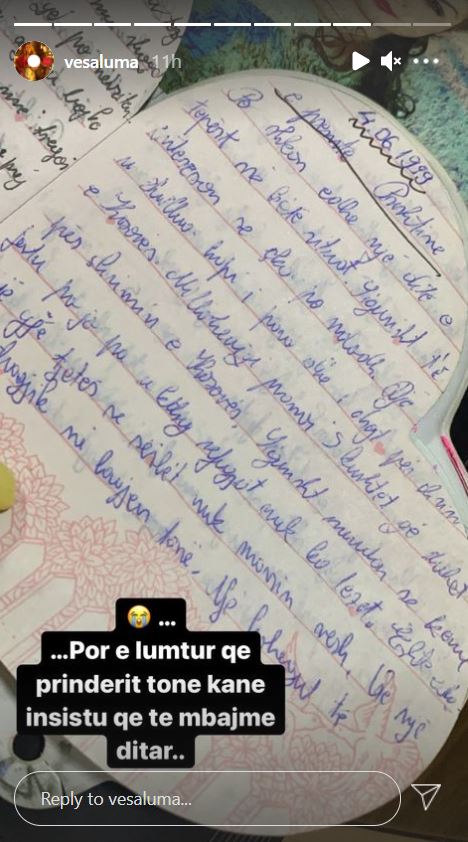 vesa luma (5)