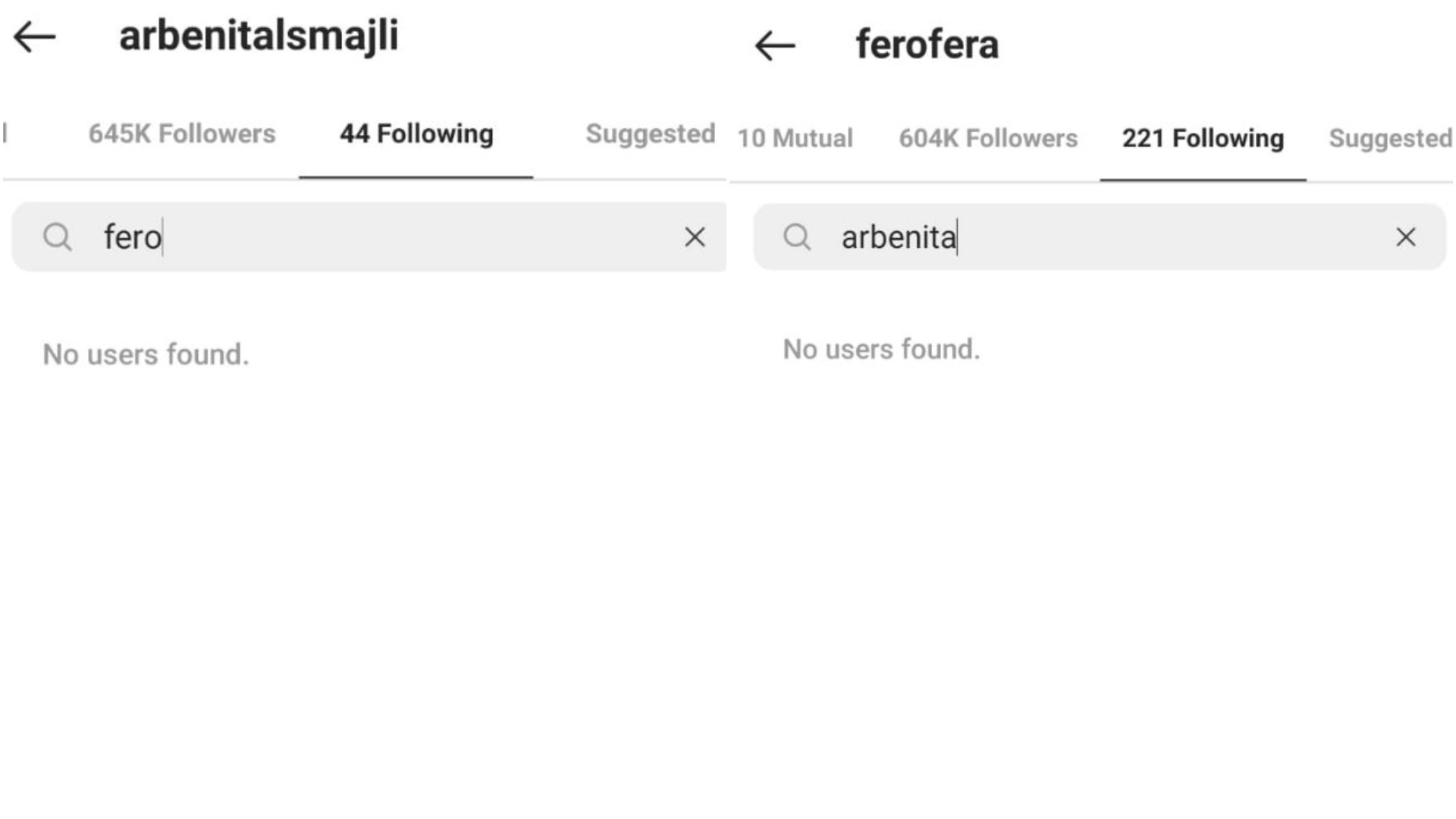 arbenita ismajli, fero (14)