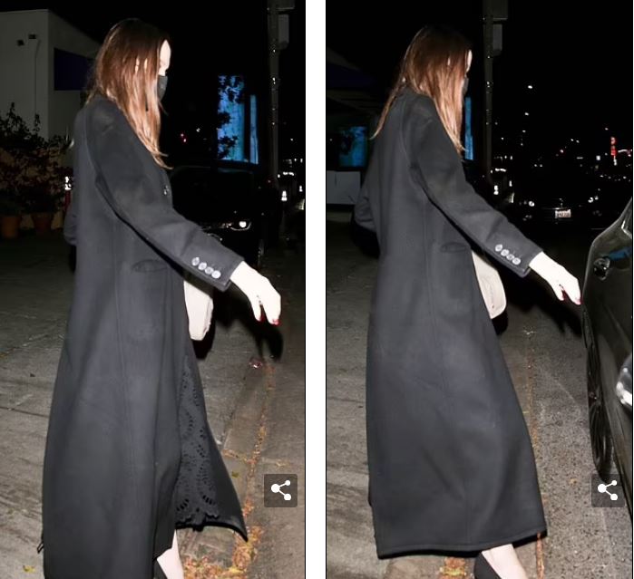 angelina jolie (16)