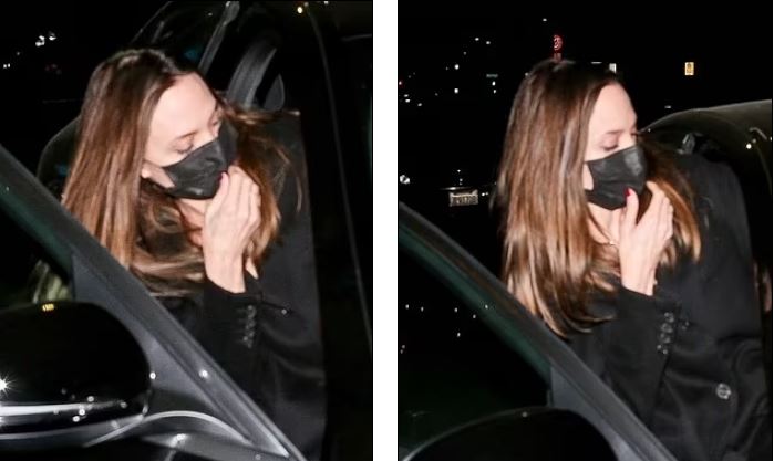 angelina jolie (17)